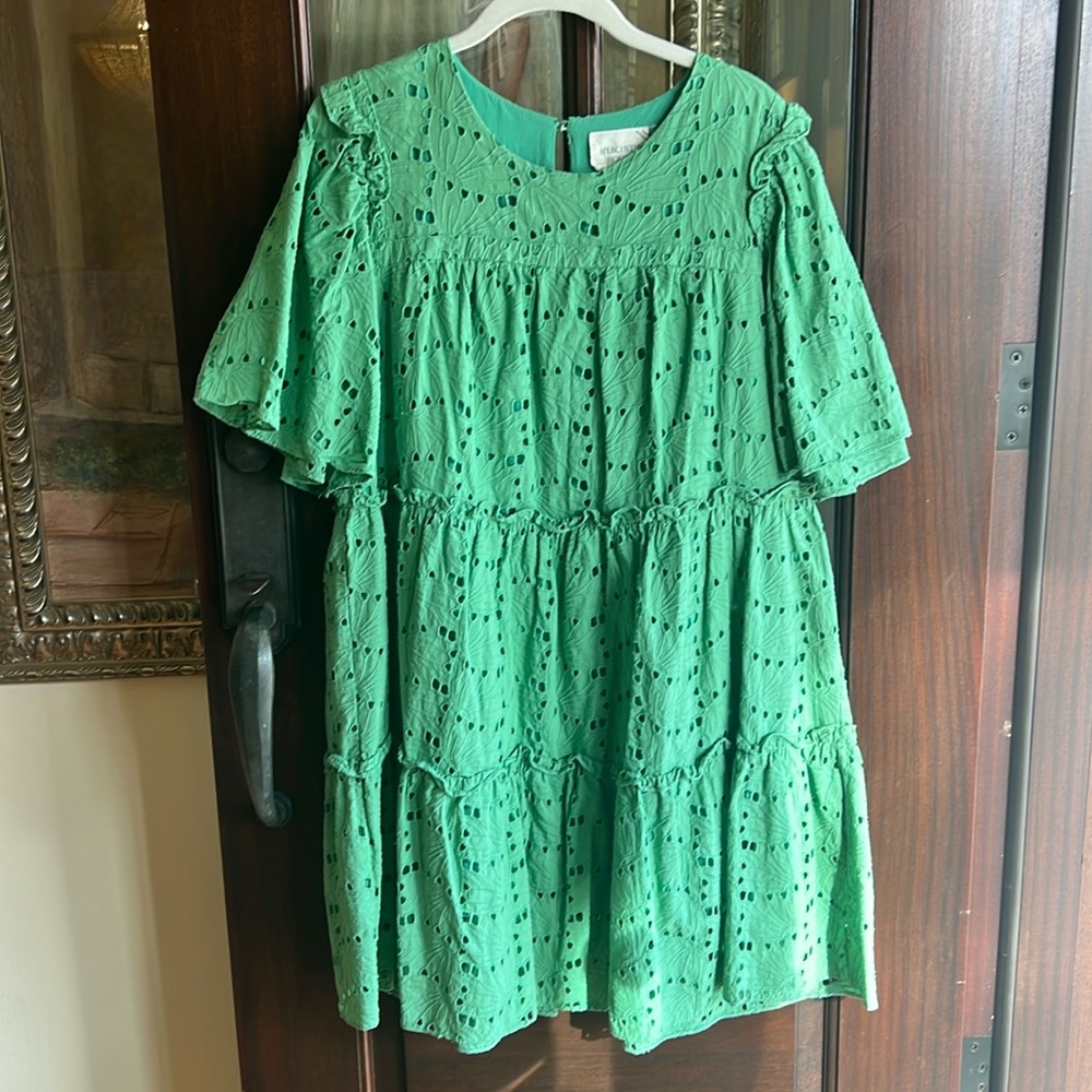 Tuckernuck green short dress